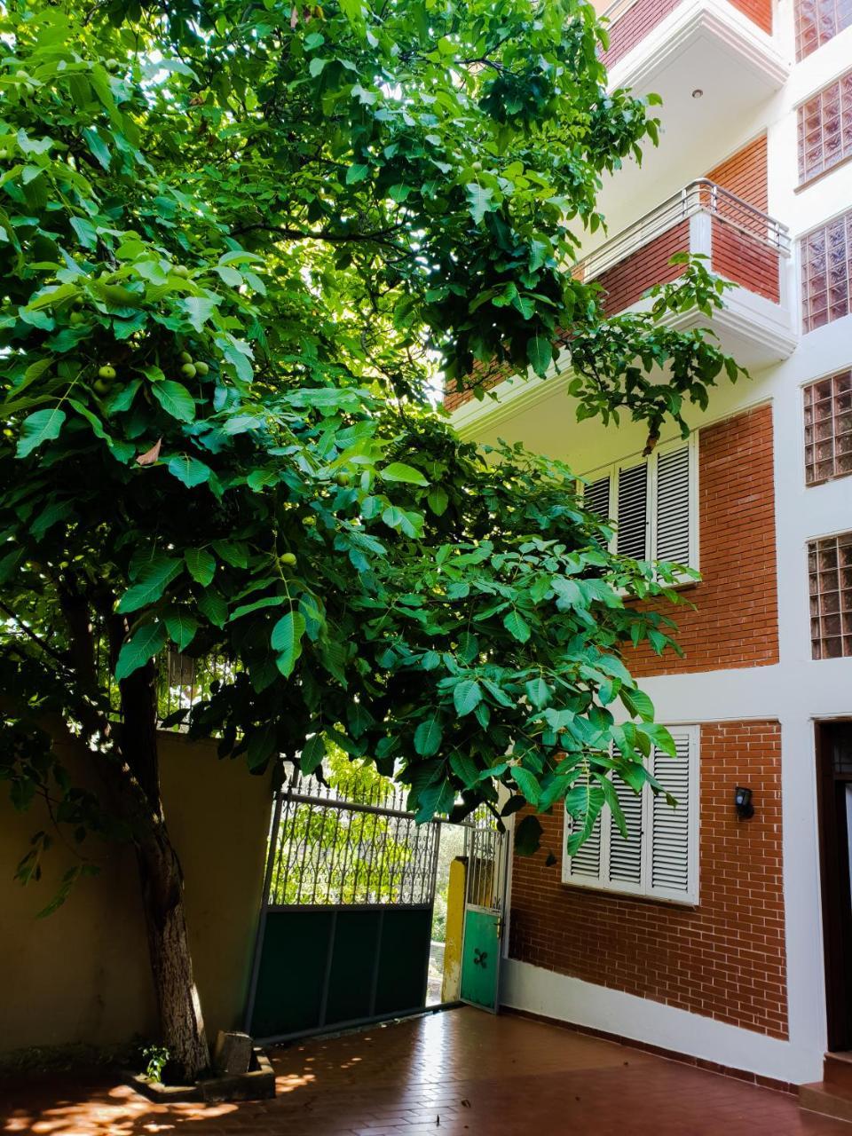 Lux Apartments Avlonya Dış mekan fotoğraf