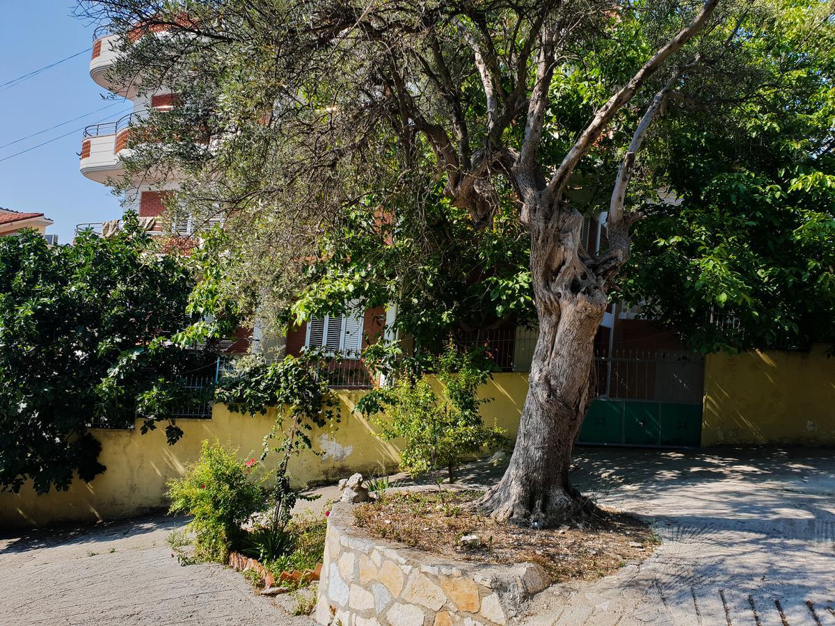 Lux Apartments Avlonya Dış mekan fotoğraf